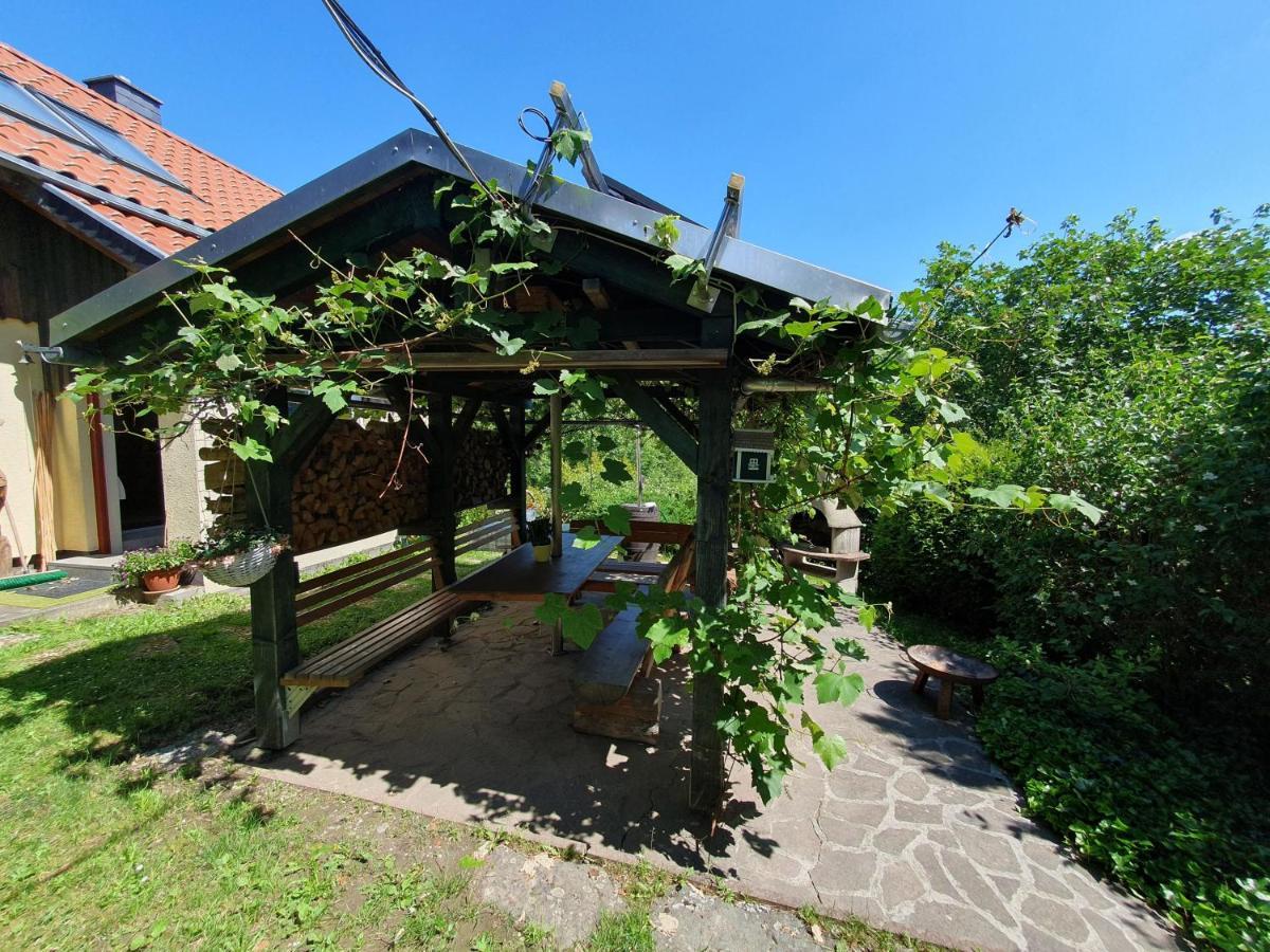 Das Gruene Haus Am Hexenstieg Rubeland Buitenkant foto