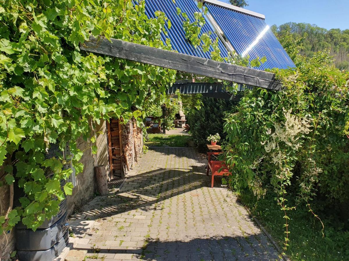 Das Gruene Haus Am Hexenstieg Rubeland Buitenkant foto