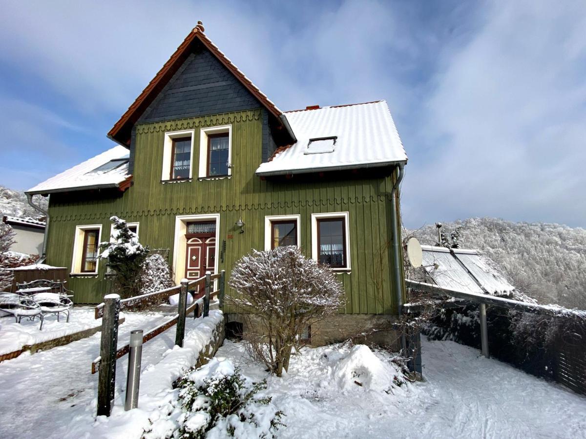 Das Gruene Haus Am Hexenstieg Rubeland Buitenkant foto