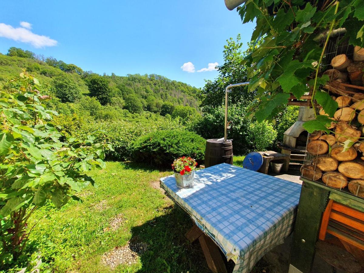 Das Gruene Haus Am Hexenstieg Rubeland Buitenkant foto