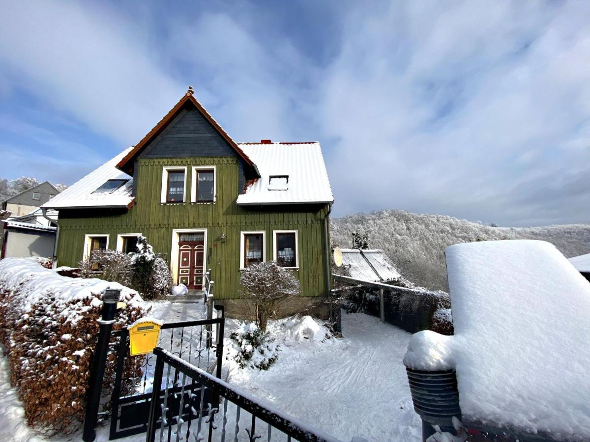 Das Gruene Haus Am Hexenstieg Rubeland Buitenkant foto