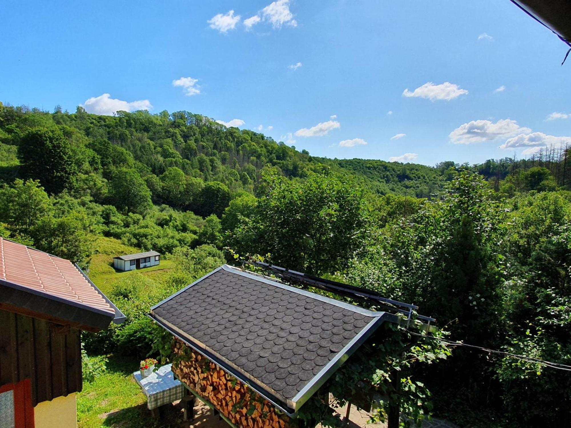 Das Gruene Haus Am Hexenstieg Rubeland Buitenkant foto